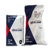 Xcelsio