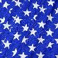 detail image3 Nylon PolySpandex Fabric, Swimwear, Activewear,sportswear, yogawear,4-Way Stretch