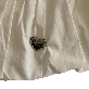detail image2 Saint Doll Balloon Top