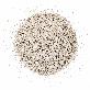 detail image3 Coral Sand Media (Natural Marine Mineral)