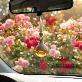 detail image2 RULHWA(律花).20 CAR Aromatherapy Diffuser