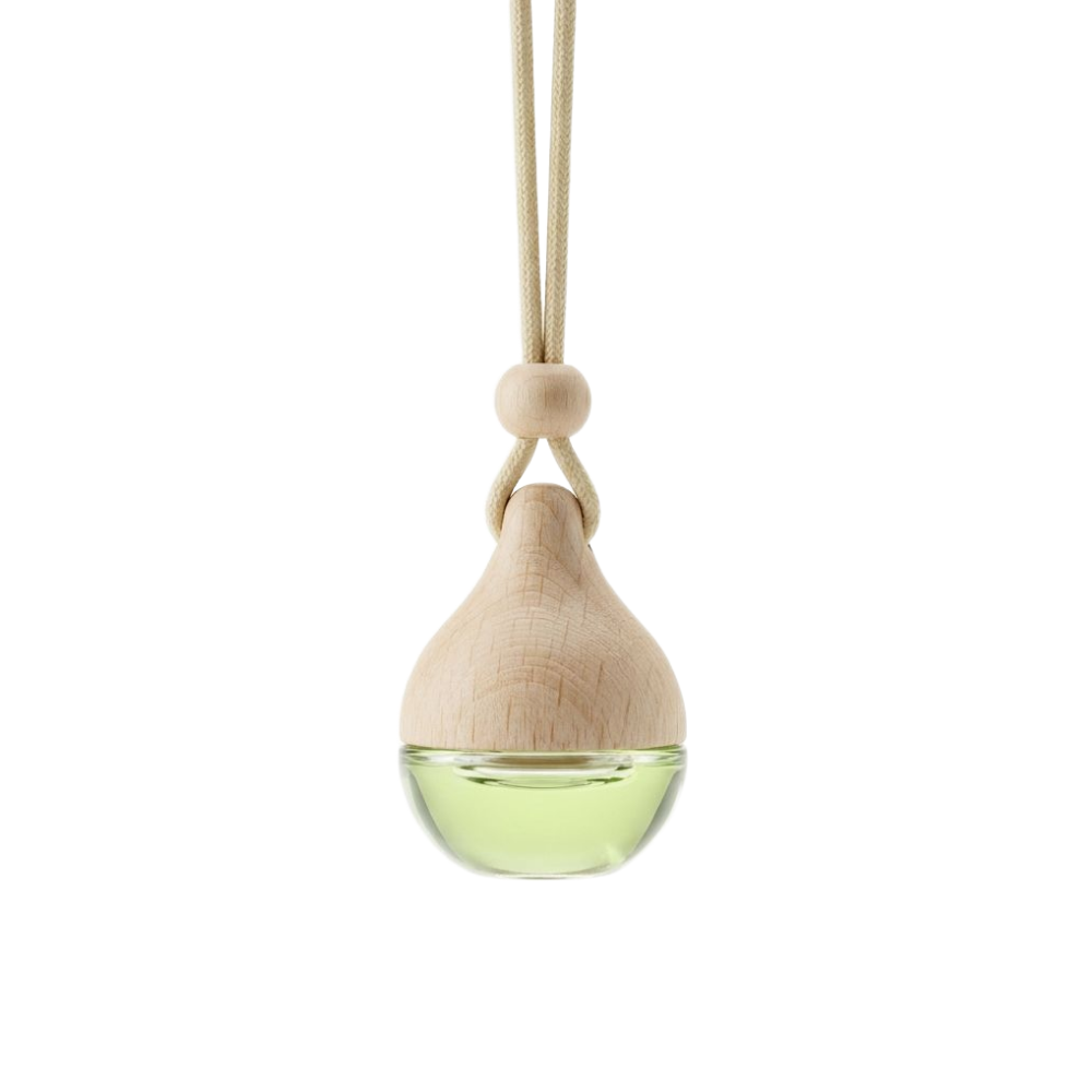 RODAM(綠澹).20 CAR Aromatherapy Diffuser