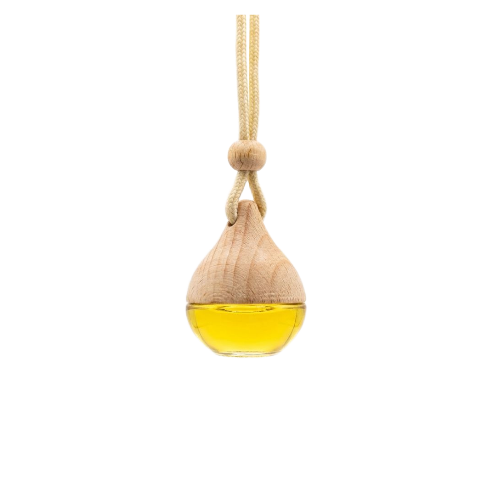 ROEUN(露恩).20 CAR Aromatherapy Diffuser
