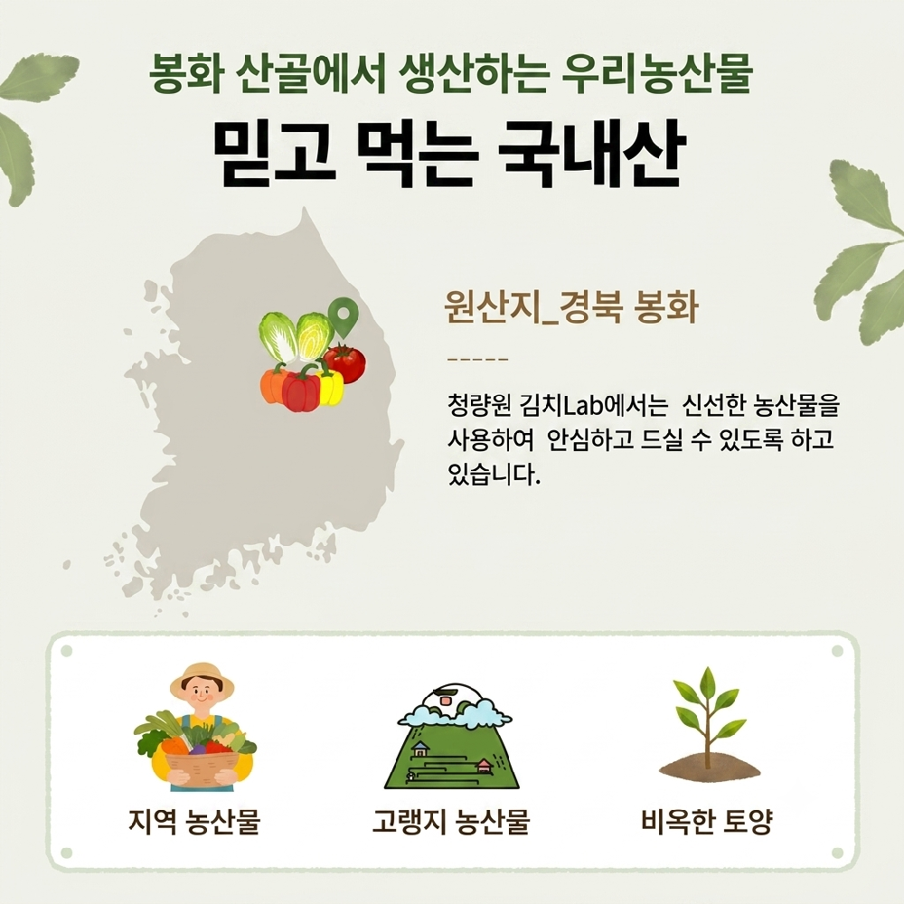 Cheongyangwon vegan kimchi