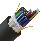 full image Rollable Ribbon Single Jacket Optical Cable