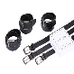 full image Cowhide belt (Group B, 3 types)
